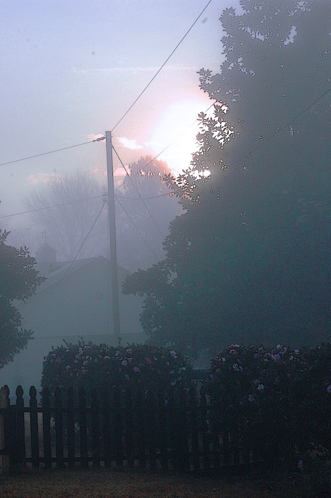 Fog-12-12
