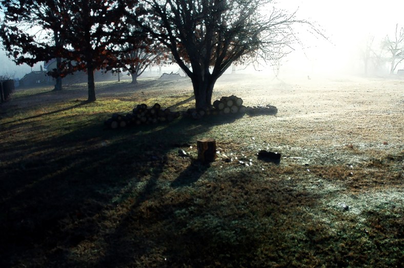 As the fog clears, highlights and shadows return.