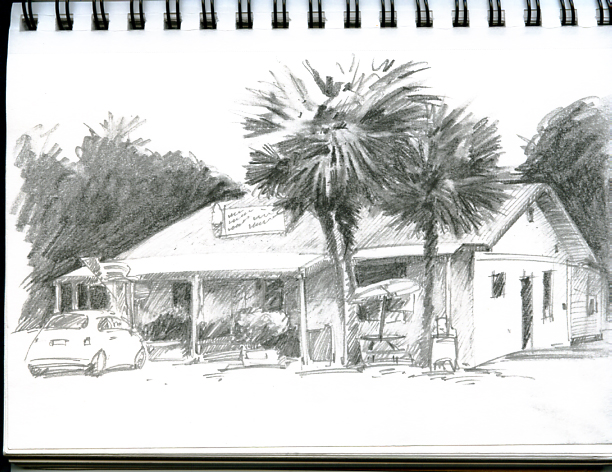 I've missed drawing palm trees... or palmettos as they're called here.