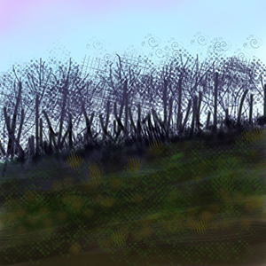 Pasture at dusk, digital sketch on iPhone 4S with "Brushes"