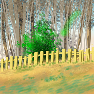 Backyard in winter, digital sketch