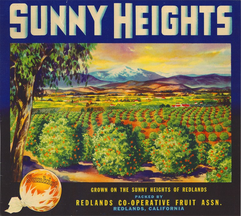 Sunny Heights